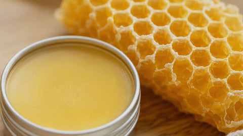 Beeswax Lip Balm Benefits - Ames Farm Single Source Honey