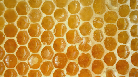 Health Benefits of Eating Raw Honeycomb - Ames Farm Single Source Honey